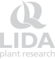 LIDA Plant Research