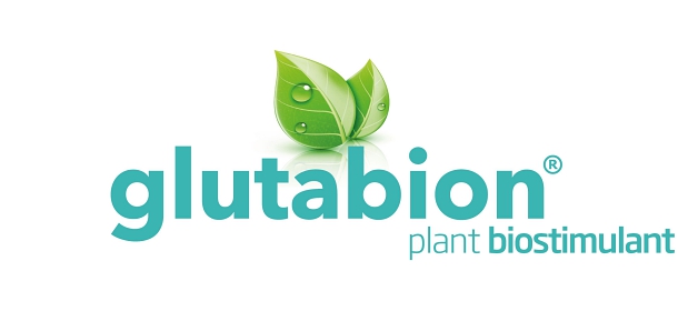 glutabion bioestimulante brotación en frutales, berries y viña