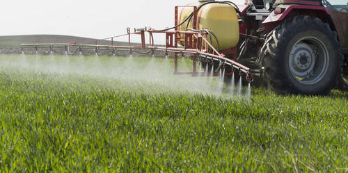 Proponen reducir un 30% el uso de pesticidas en España