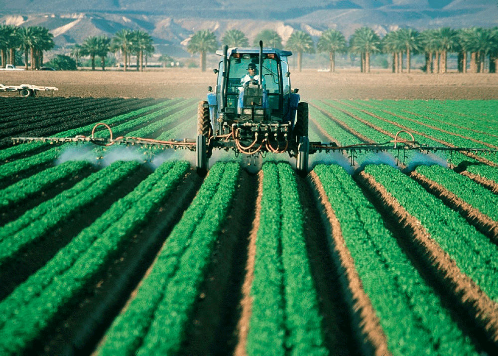 Production techniques to ensure quality crops