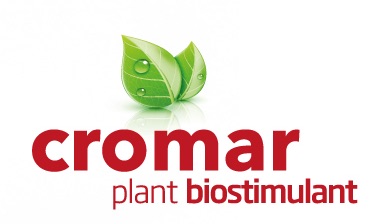 Nuevo bioestimulante vegetal para la coloración de frutos rojos