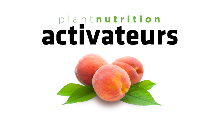 activateurs  plant nutrition lida plant