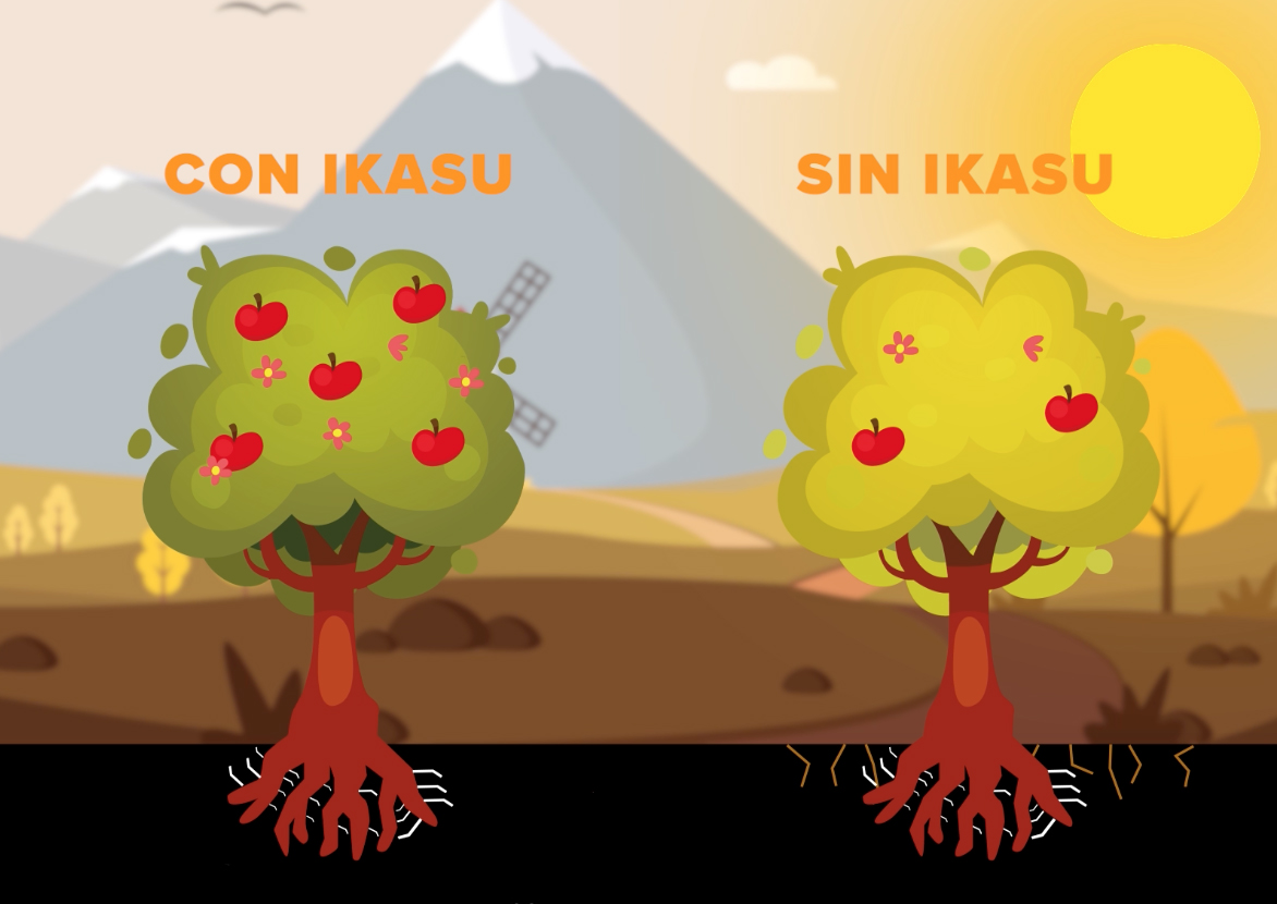 ¿Qué cambios se producen en las plantas cuando aplicamos IKASU®?
