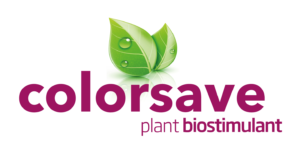 bioestimulantes agrícolas colorsave