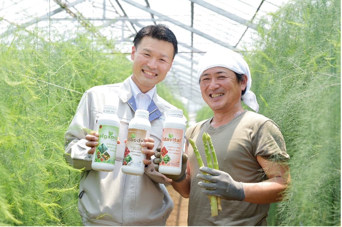 Eficacia de los bioestimulantes: Calidad sin reducir rendimientos – Caso en Japón.