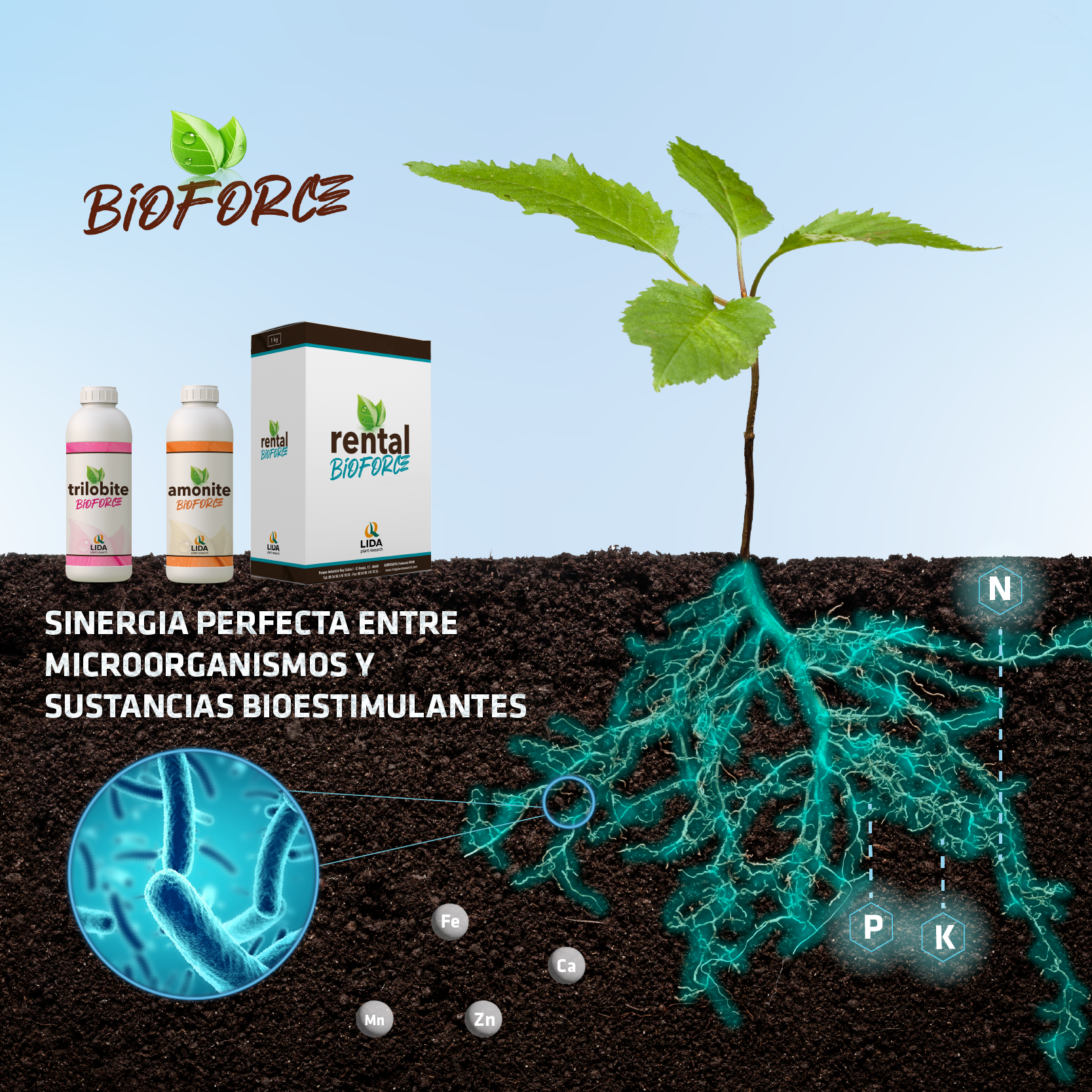 LIDA lanza la gama BIOFORCE a base de microorganismos y sustancias bioestimulantes.