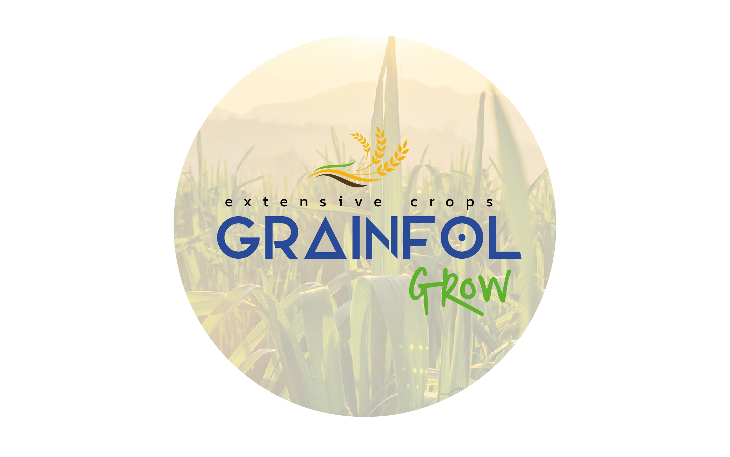 bioestimulante grainfol grow