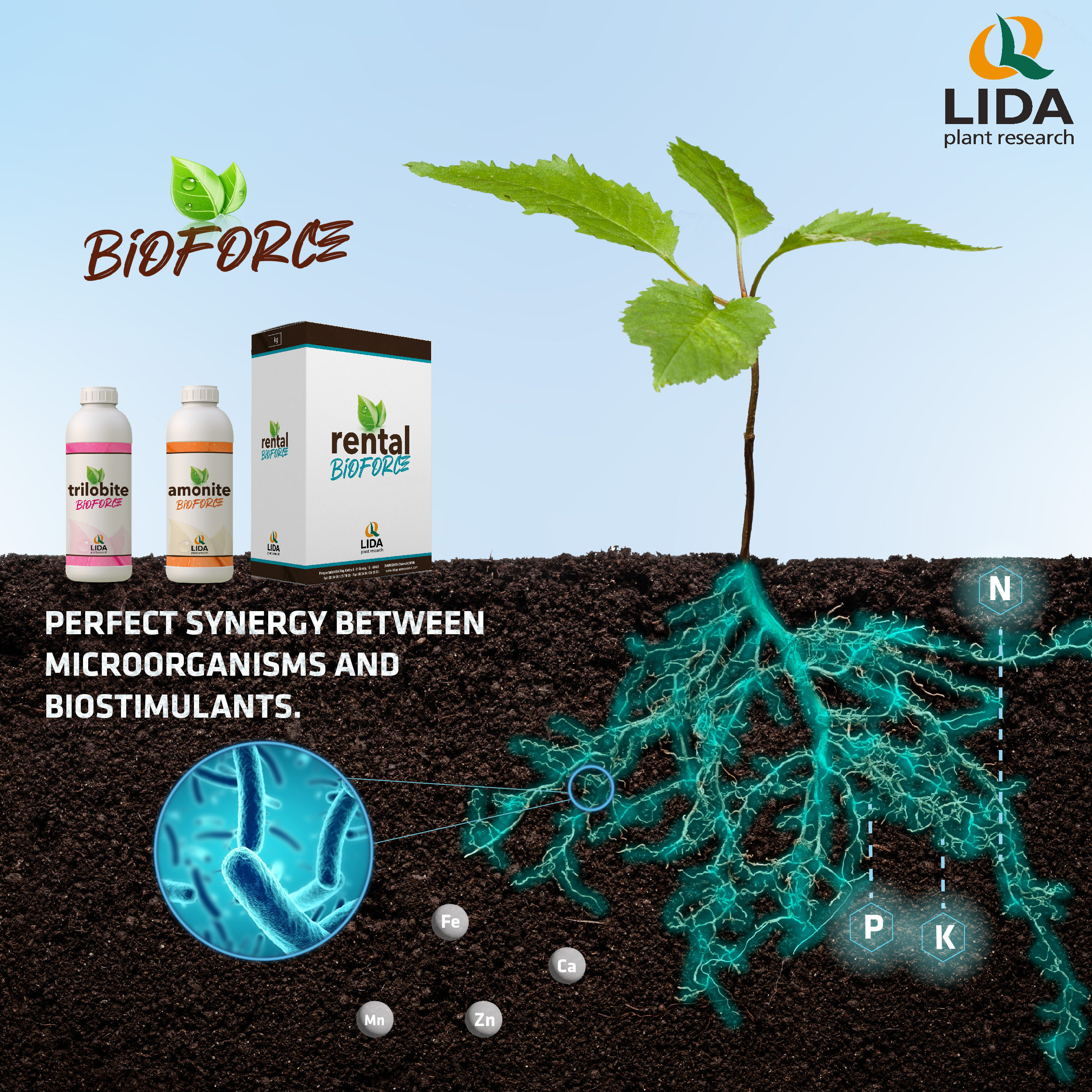 LIDA Plant Research launches the BIOFORCE range based on microorganisms and biostimulant substances.