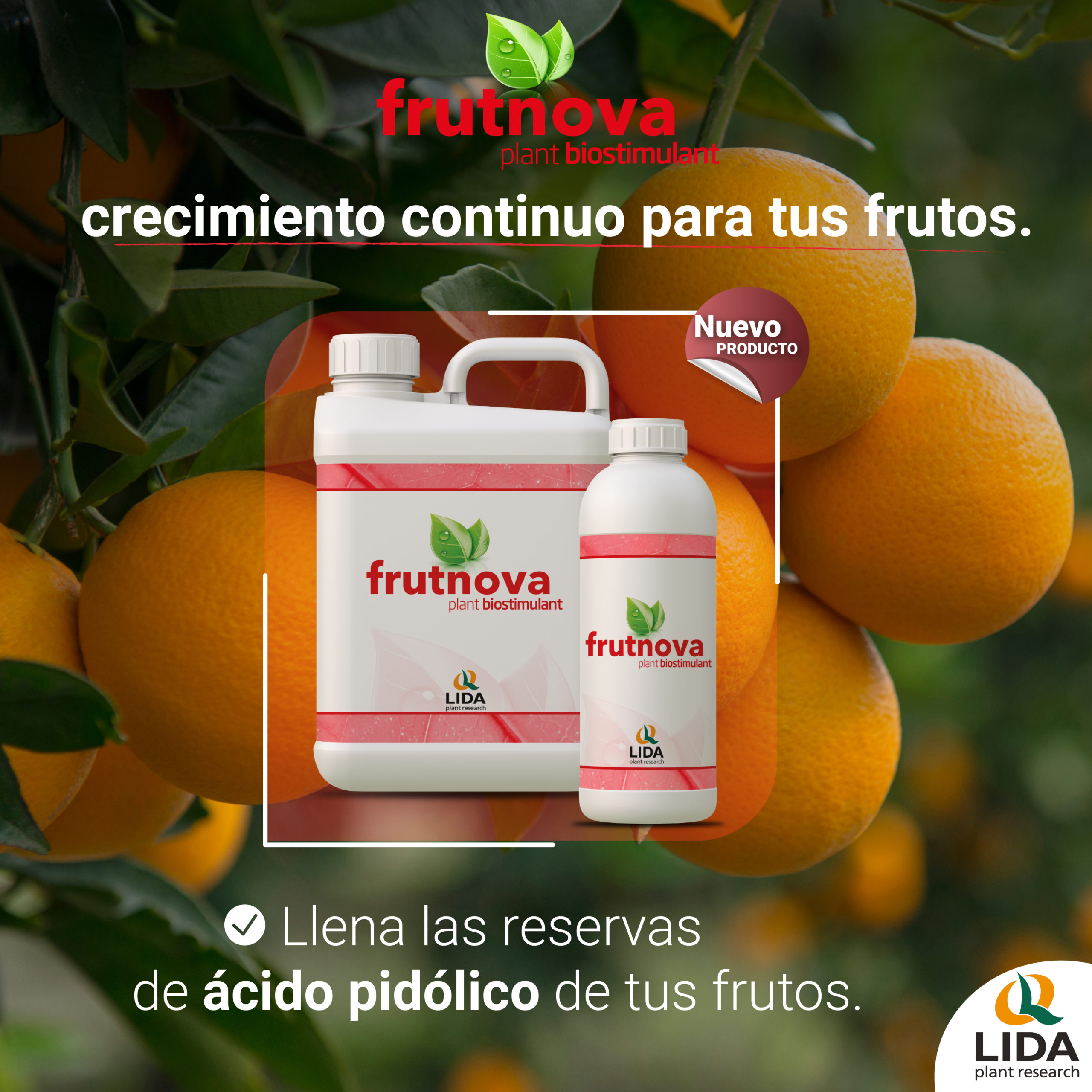 LIDA Plant Research lanza su nuevo producto Frutnova, para el crecimiento continuo de los frutos.